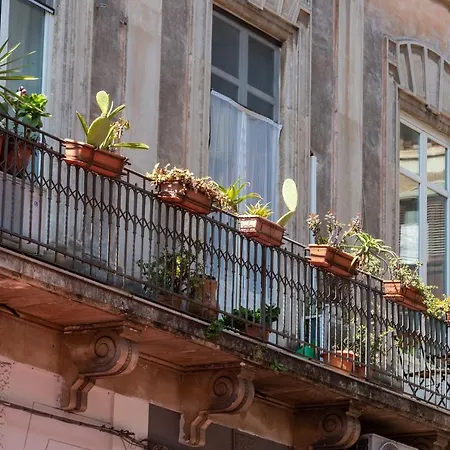 Vendégház Zefiro Catania